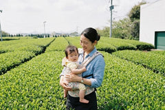 1kg Organic Certified Spring Ceremonial Matcha Kyushu Volcanic Soil