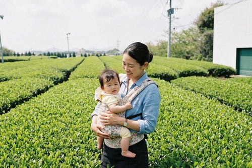 1kg Organic Certified Spring Ceremonial Matcha Kyushu Volcanic Soil - Vibrant Leaf Canada Matcha