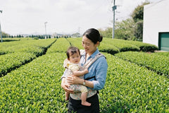 50g Bag. First Flush JAS Organic Matcha. Award Winning Tea Region. Volcano Soil