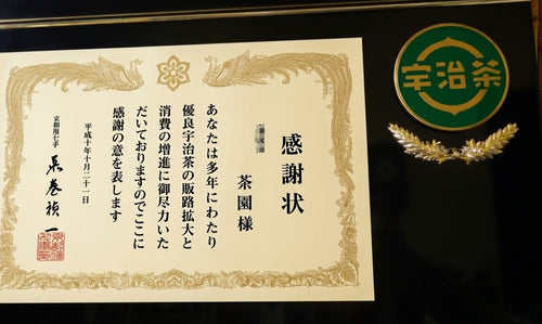 100g Uji Ceremonial Matcha (Ryu Farm. Est 1866) Wholesale